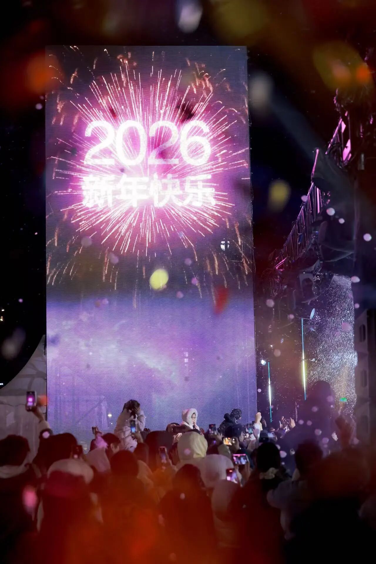 上海新年第一游暨跨年迎新季（2027届）